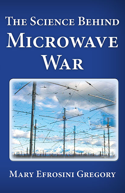 Microwave War
