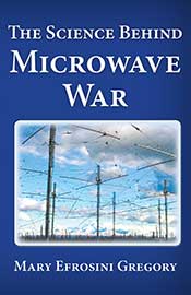 Microwave Experiment